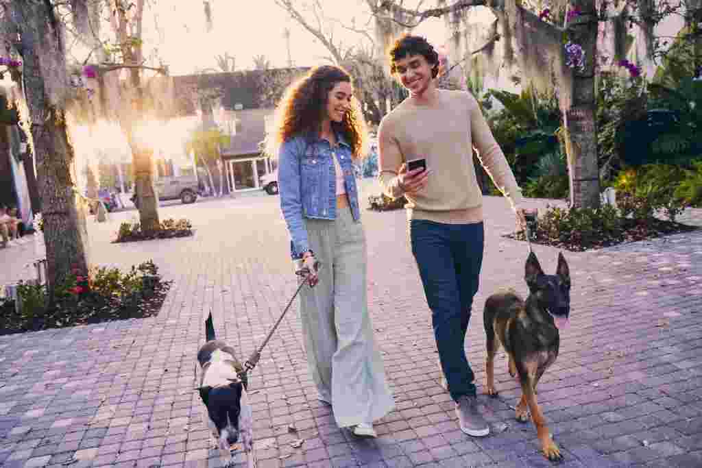 International Cat and Dog Days Re-tail Marketing Strategies to Drive Purr-chases